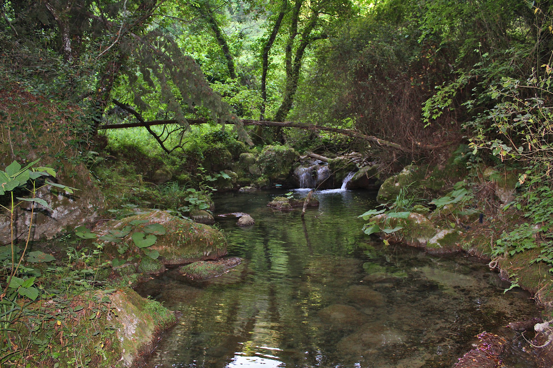 image presenting excursion Valanio Rivulets (Tiflos Tributaries)